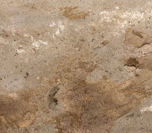 Halchimia Sand and Bronze